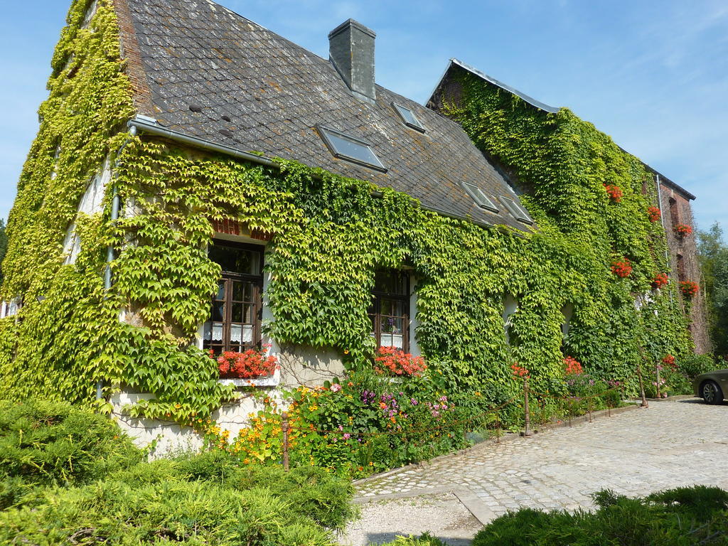مبيت وإفطار Le Moulin De Tigny المظهر الخارجي الصورة